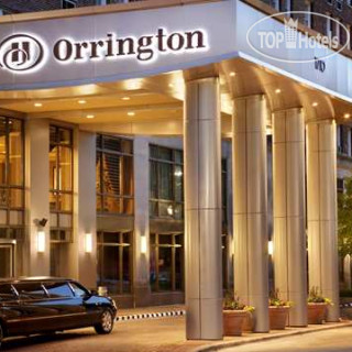 Фото Hilton Orrington/Evanston