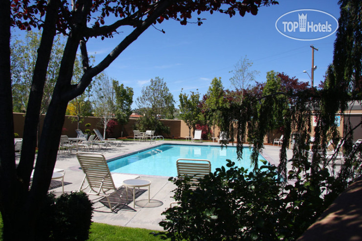New photos from tourists Best Western Plus Olympic Inn 3*