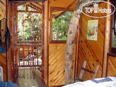 New photos from tourists Out 'n' About Treesort 4*