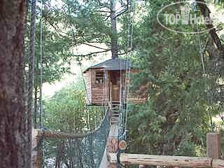 Hotel photo Takilma Treesort 3*