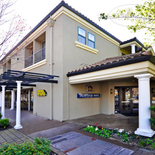 Photos Best Western Plus Palm Court Hotel