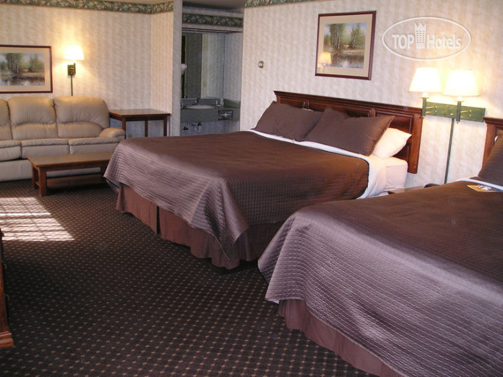New photos from tourists Best Wester Desert Inn 3*