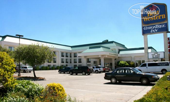 New photos from tourists Best Western PLUS CottonTree Inn 3*