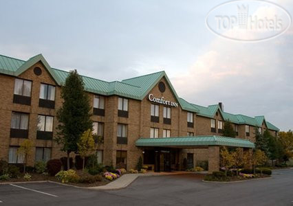 Hotelier's photos Comfort Inn Utica 2*