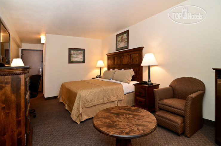 Новые добавленные фото туристов Best Western Brighton Inn 2*