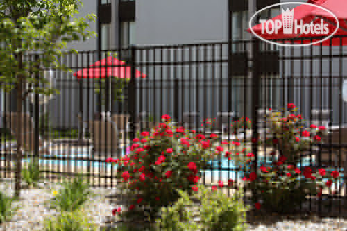 New photos from tourists Holiday Inn Bloomington 3*