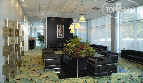 New photos from tourists Essex Inn 3*