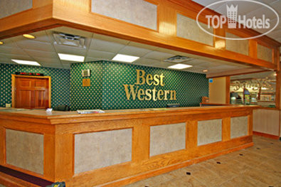 New photos from tourists Best Western Point South 2*