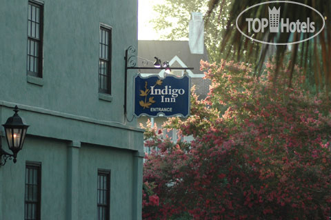 New photos from tourists Indigo Inn 3*