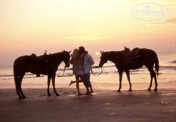 New photos from tourists Hilton Head Marriott Resort & Spa 4*