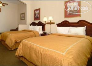 New photos from tourists Comfort Suites New Orleans Hotel 2*
