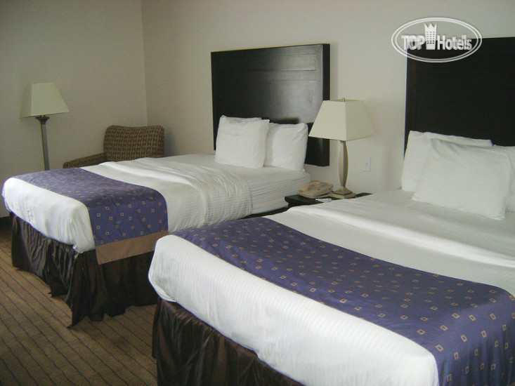 New photos from tourists La Quinta Inn & Suites Walker Denham Springs Area 3*