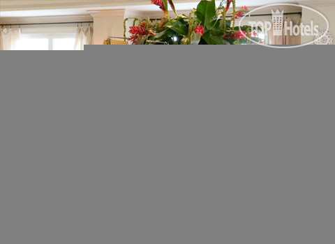New photos from tourists Hampton Inn New Orleans Garden District 2*