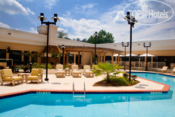 New photos from tourists Sheraton Atlanta Perimeter North 3*