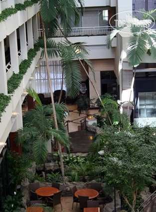 New photos from tourists Embassy Suites Hotel Atlanta - Buckhead 3*