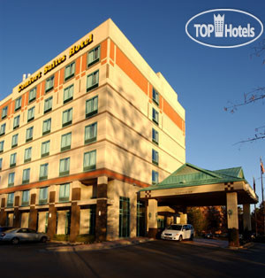 Hotelier's photos Comfort Suites Atlanta 2*