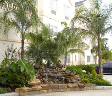 Новые добавленные фото туристов Best Western Plus Atascocita Inn & Suites 3*