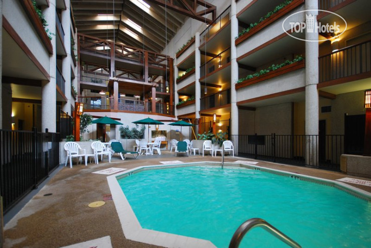 New photos from tourists Best Western Atrium North 3*