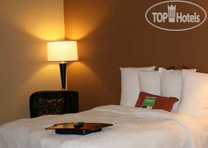 Новые добавленные фото туристов Hampton Inn Houston NASA-Johnson Space Center 3*