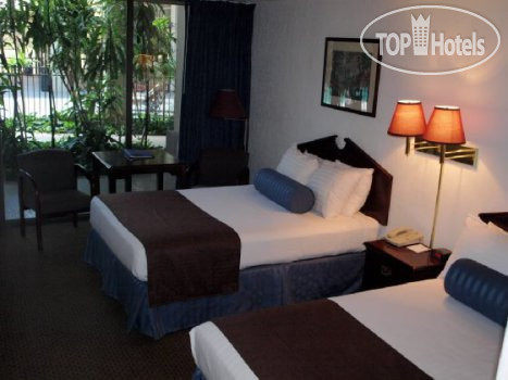 New photos from tourists Best Western Garden Oasis 2*