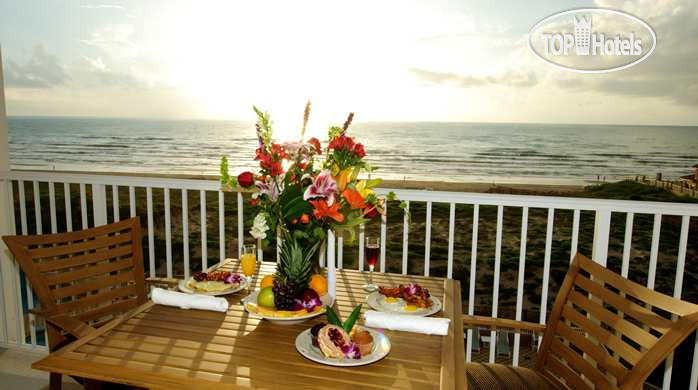 New photos from tourists Hilton Garden Inn South Padre Island 3*