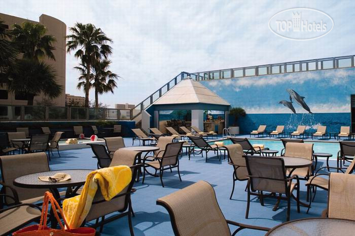 New photos from tourists Omni Corpus Christi Hotel Bayfront Tower 3*