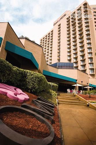 Hotelier's photos Omni Corpus Christi Hotel Marina Tower 4*