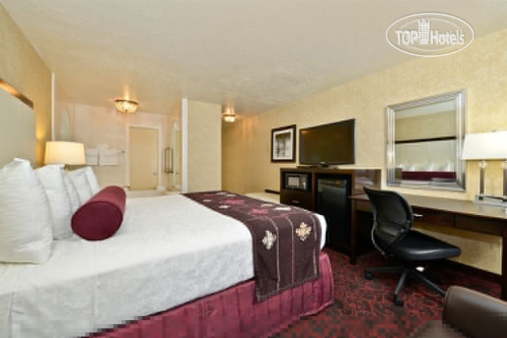 New photos from tourists Best Western Coral Hills 3*