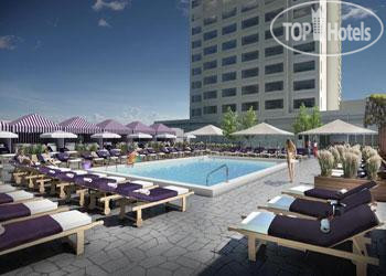 Hotelier's photos The Chelsea 4*
