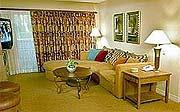 New photos from tourists Desert Rose Resort 3*
