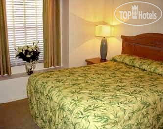 New photos from tourists Sunterra Desert Paradise Resort 3*