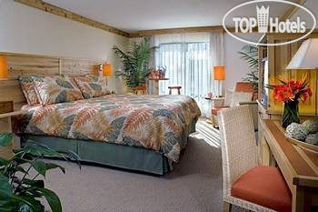 New photos from tourists OYO Hotel & Casino 3*