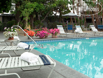 New photos from tourists Travelodge Hotel LAX Los Angeles Intl 2*
