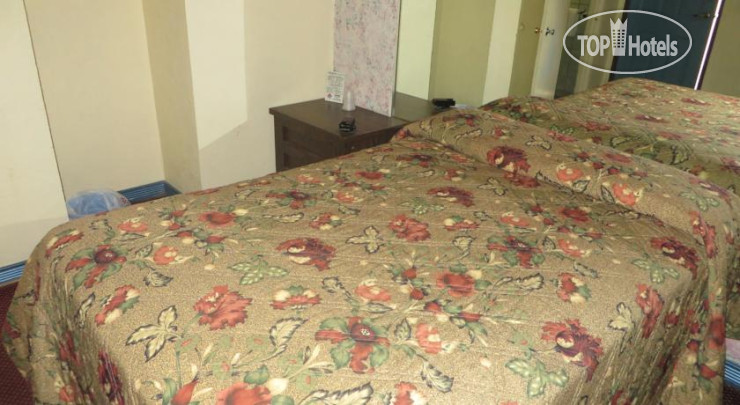 Новые добавленные фото туристов Ambassador Motel 2*