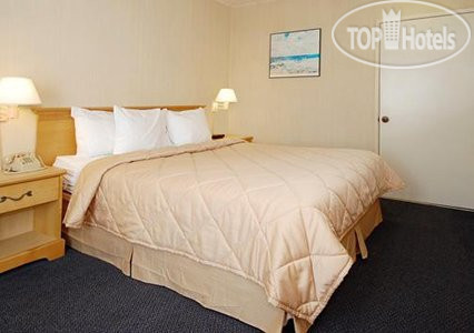 New photos from tourists Comfort Inn Santa Monica 2*