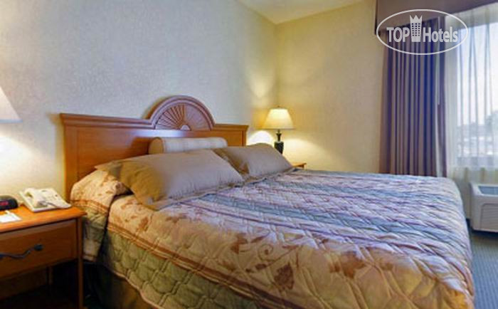 New photos from tourists Best Western of Long Beach 2*