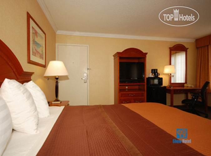 New photos from tourists Best Western Airpark 2*