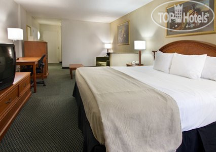 New photos from tourists Comfort Inn & Suites Winter Park Village Area 2*