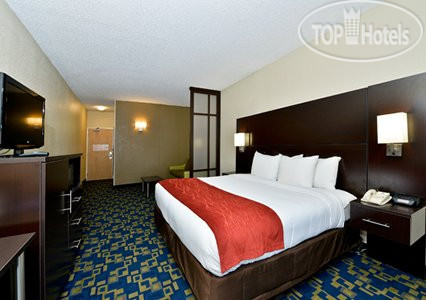 New photos from tourists Comfort Inn & Suites Universal - Convention Center 3*