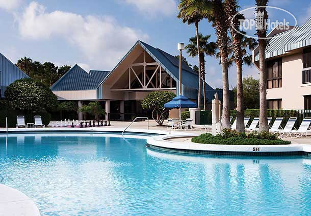 New photos from tourists Marriotts Sabal Palms 4*