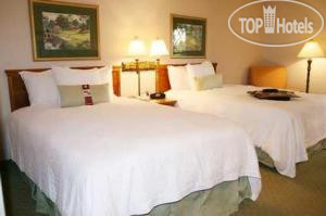 New photos from tourists Hampton Inn Convention Center 3*