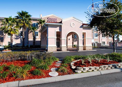 Hotelier's photos Comfort Suites Orlando 3*