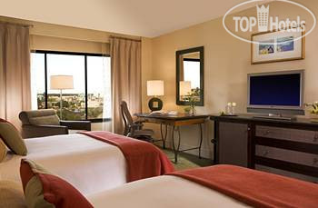 New photos from tourists The Hilton at Walt Disney World Village 4*