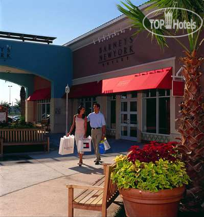 New photos from tourists Hilton Grand Vacations Suites at SeaWorld 3*