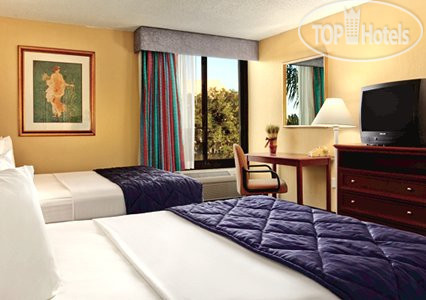 Новые добавленные фото туристов Clarion Hotel Maingate 3*