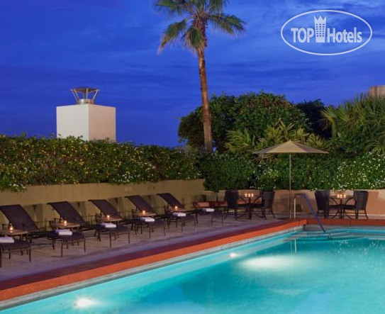 New photos from tourists Sheraton Orlando Downtown 3*