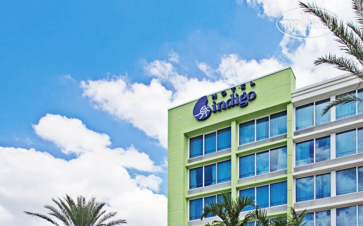 Hotelier's photos Indigo Miami Dadeland 3*