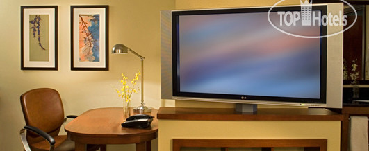 New photos from tourists Hyatt Place Ft. Lauderdale 17th St. Convention Center (Airport-North) 3*