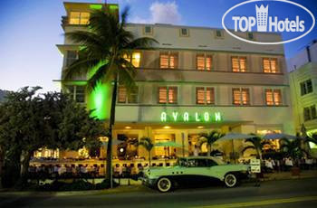 New photos from tourists Avalon 3*