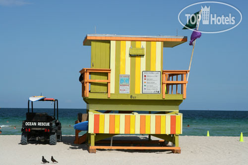 New photos from tourists Starlite 2*